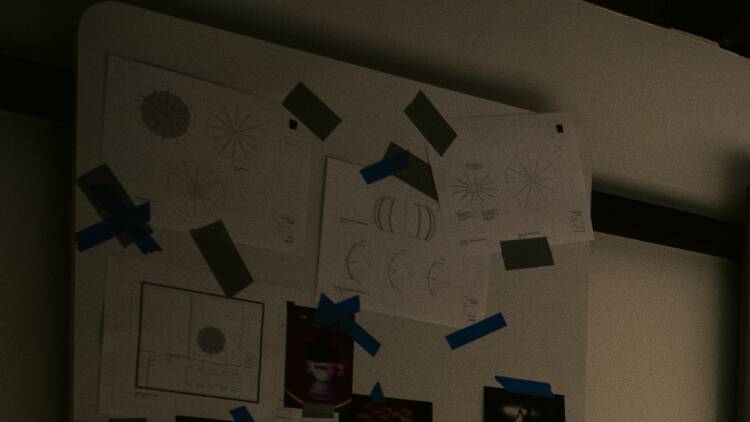 Cucurucho and Company 