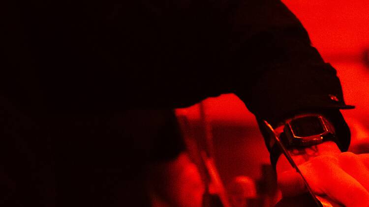 Cucurucho and Company 