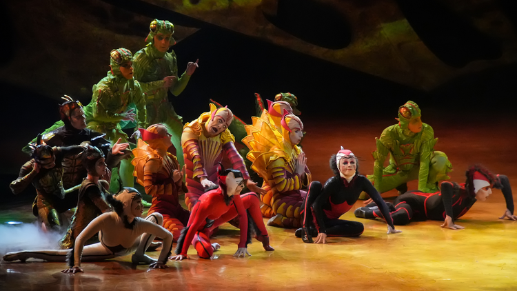 OVO del Cirque du Soleil es un espectáculo digno de ver