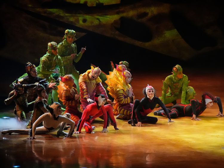 Después de 15 años, OVO del Cirque du Soleil es un espectáculo digno de ver Después de 15 años, OVO del Cirque du Soleil es un espectáculo digno de ver
