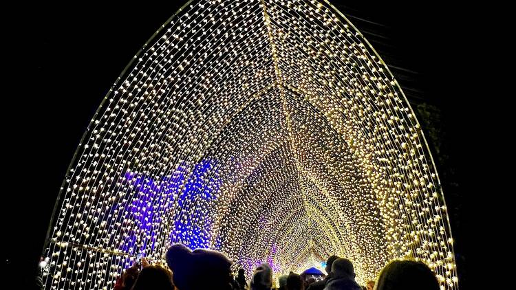Lightscape visitors walk through the "Winter Cathedral."