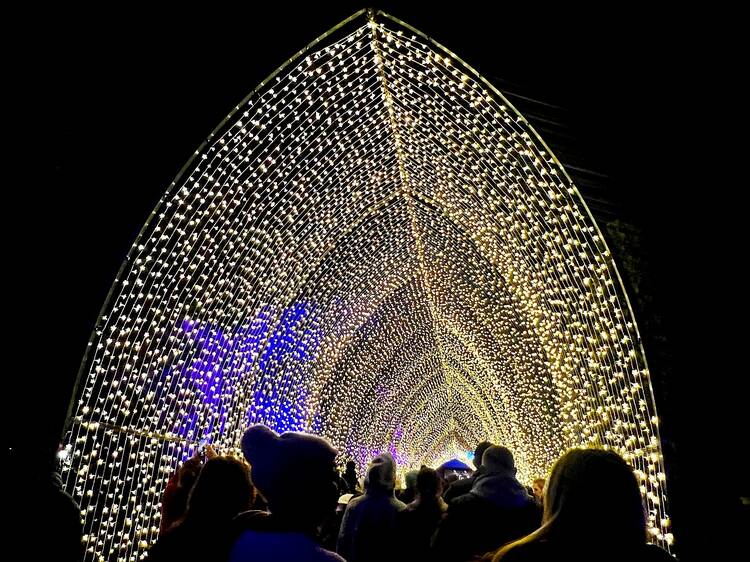 First look: Chicago Botanic Garden’s wintertime wonderland Lightscape returns with fan favorites and new additions