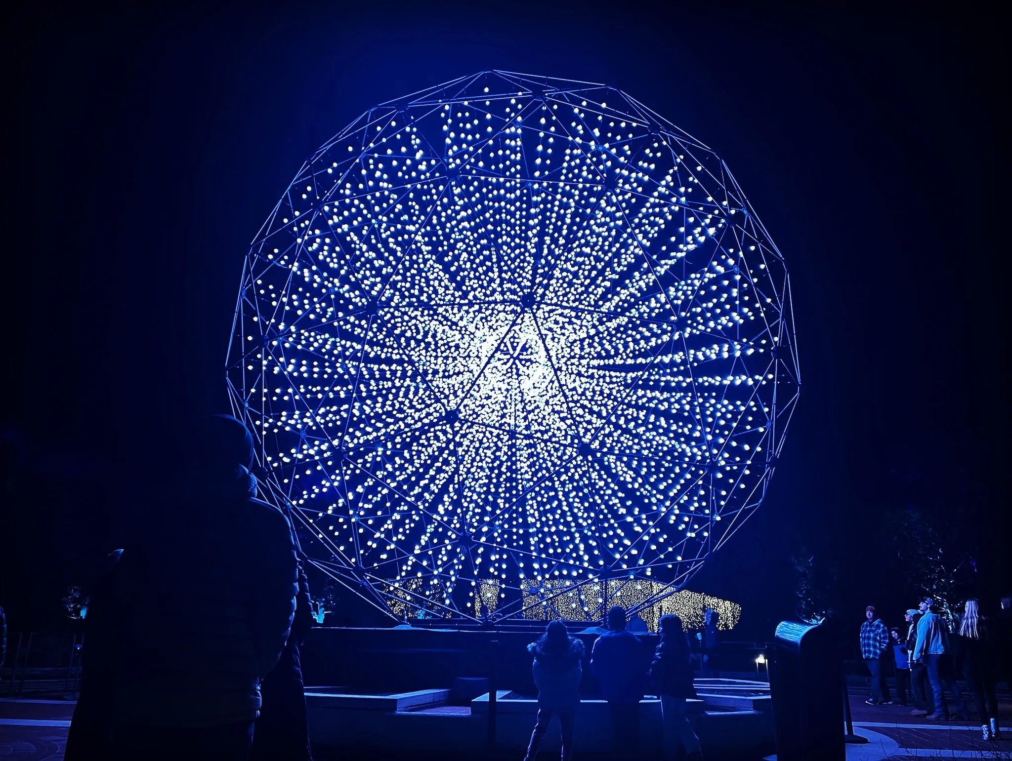 Visitors admire "Singularity" by Squidsoup at the Chicago Botanic Garden's Lightscape event.