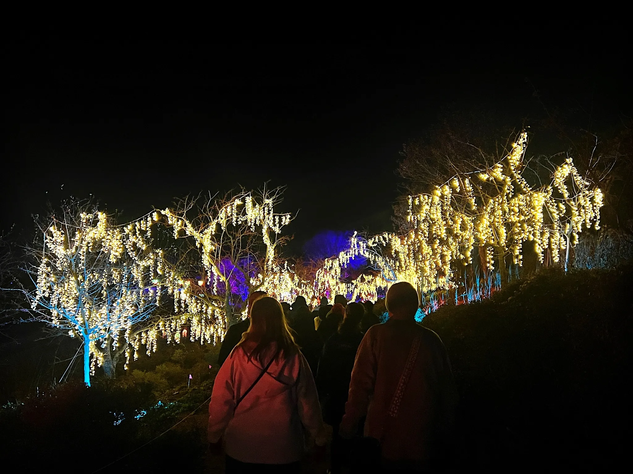 Visitors walk through an installation at the Chicago Botanic Garden's Lightscape event.