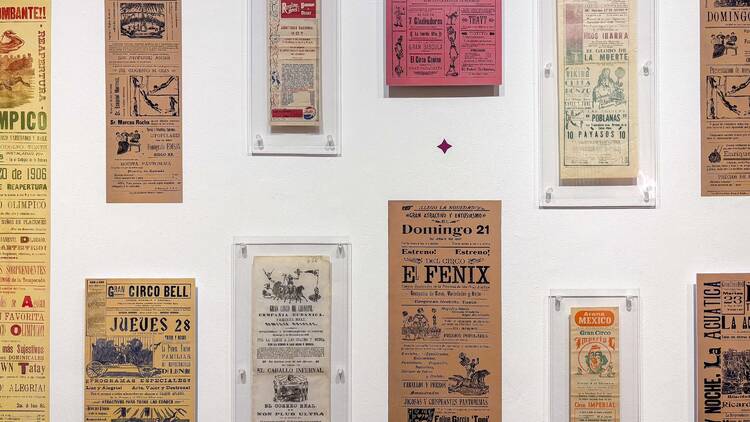 Circo. Fascinación popular Museo Nacional de Arte