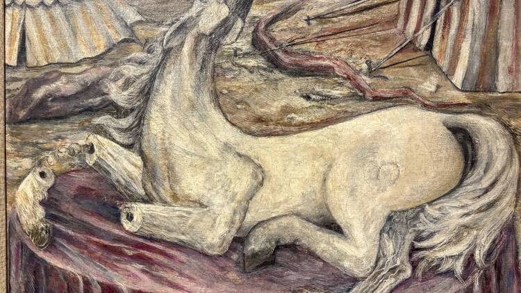 Circo. Fascinación popular Museo Nacional de Arte