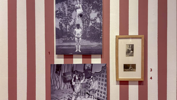 Circo. Fascinación popular Museo Nacional de Arte