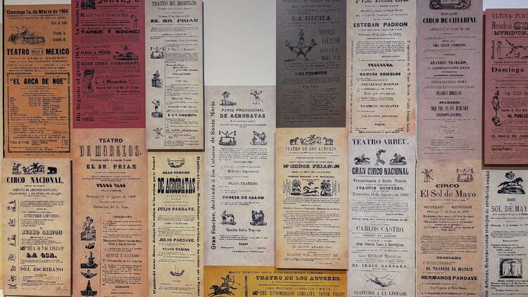 Circo. Fascinación popular Museo Nacional de Arte