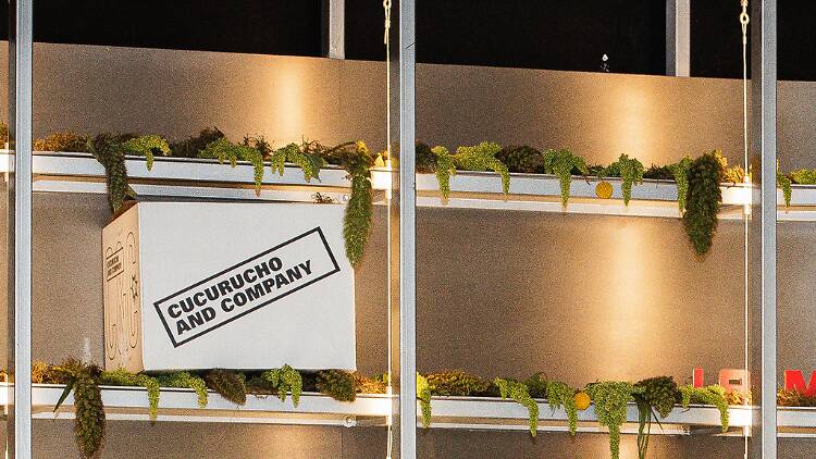 Cucurucho and Company 