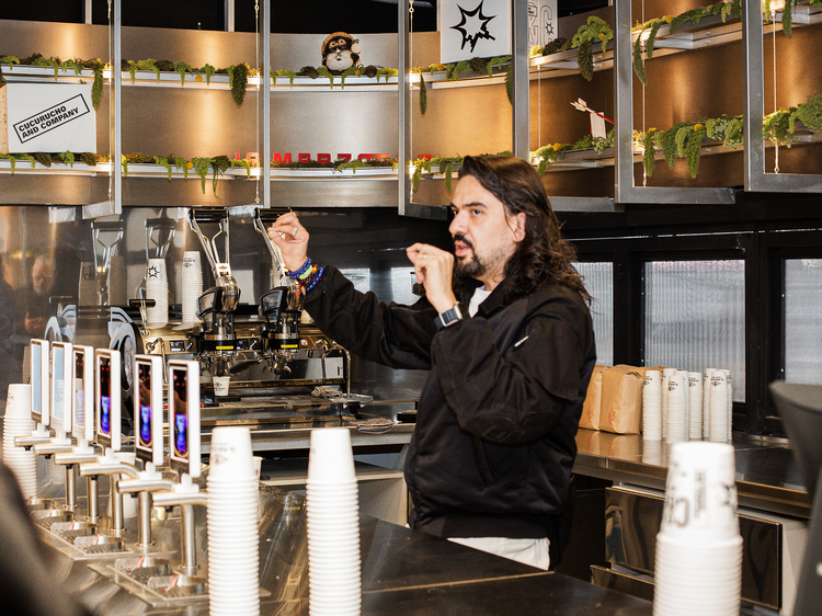 Cucurucho and Company