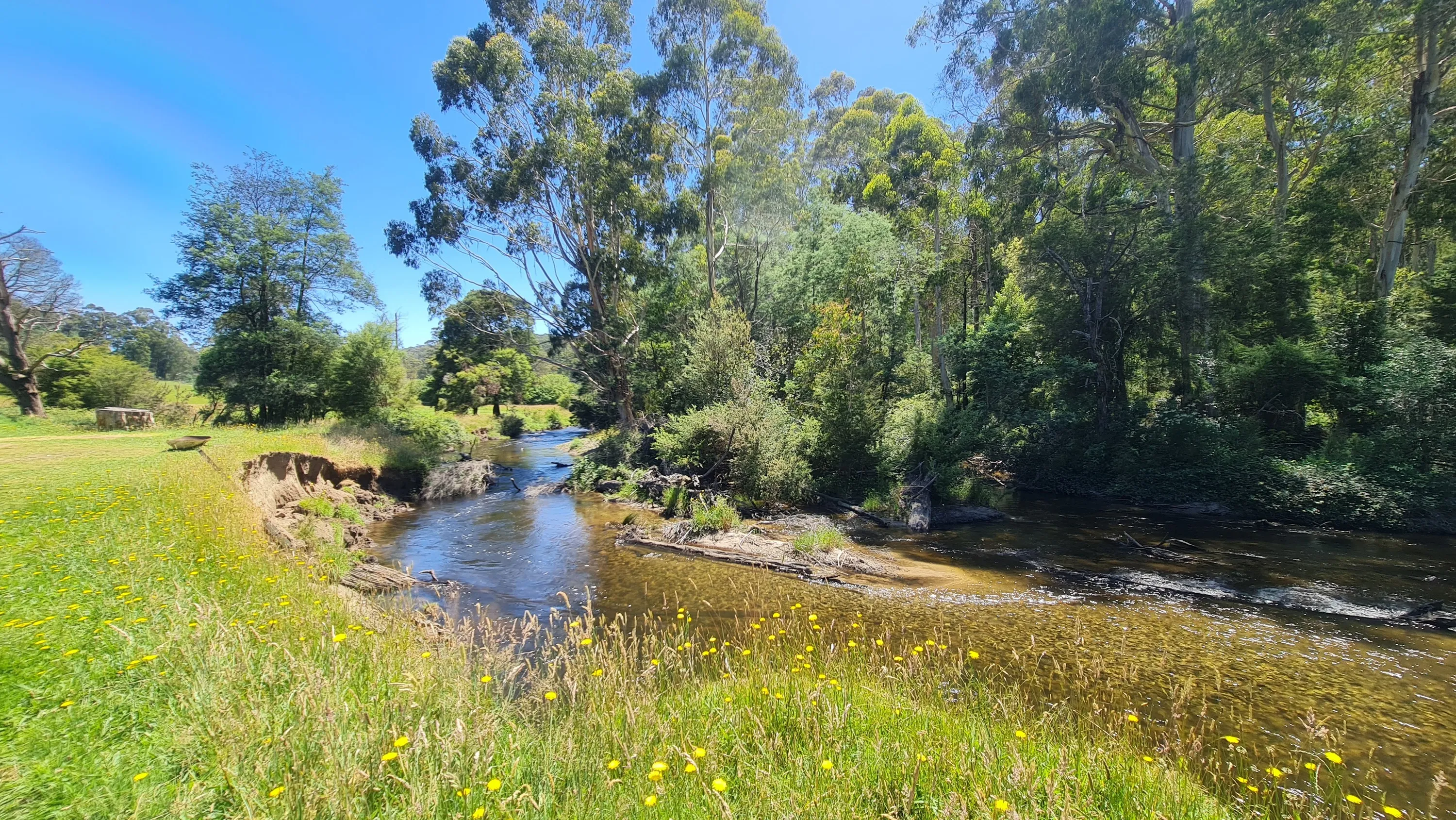 campsite in Victoria