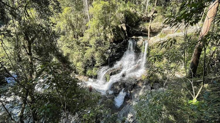 Bangalore falls walking track