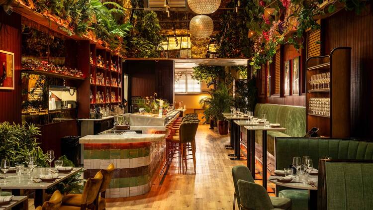 Las' Lap Miami Las' Lap Miami