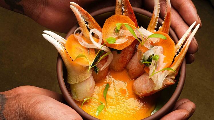 Las' Lap Miami Las' Lap Miami