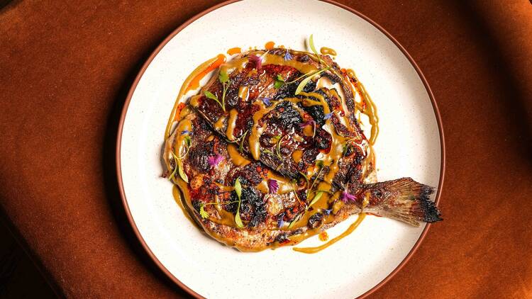 Las' Lap Miami Las' Lap Miami