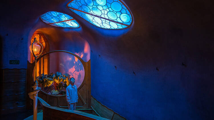 La Casa Batlló que desperta quan cau la nit