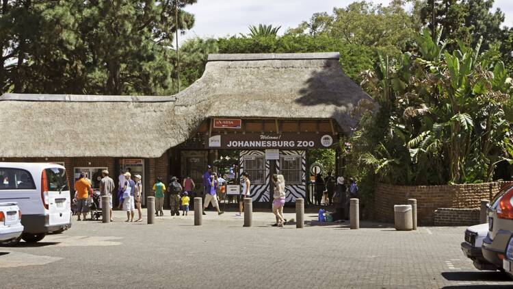 Johannesburg residents visiting the Zoo Johannesburg Zoo