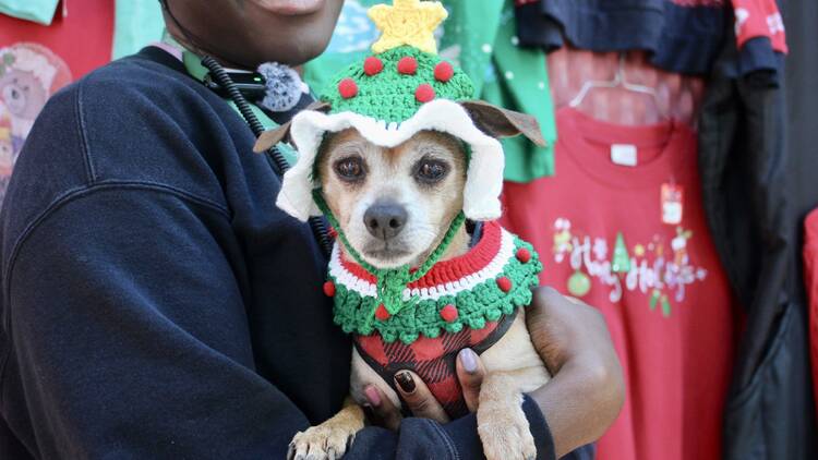 Merry Melrose Merry Melrose