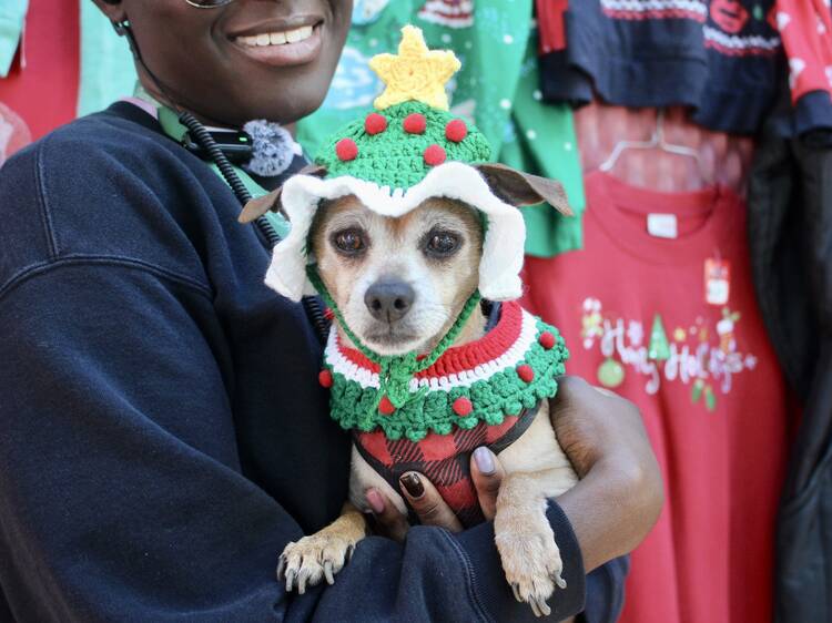 Merry Melrose Merry Melrose