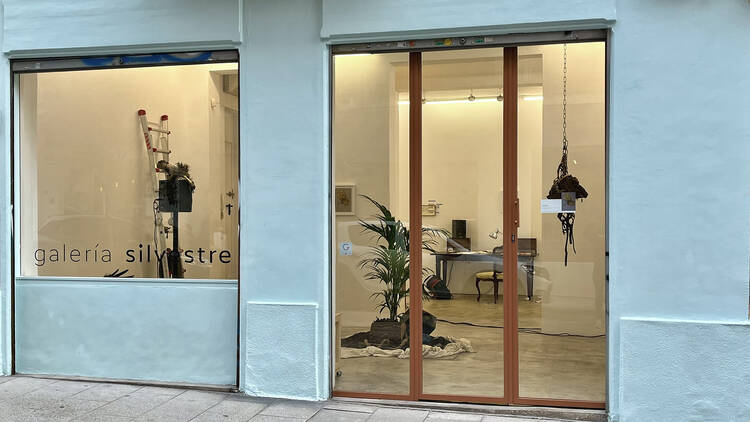 Galería Silvestre