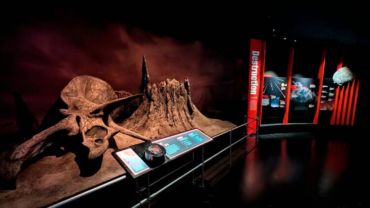 amnh impact exhibition amnh impact exhibition