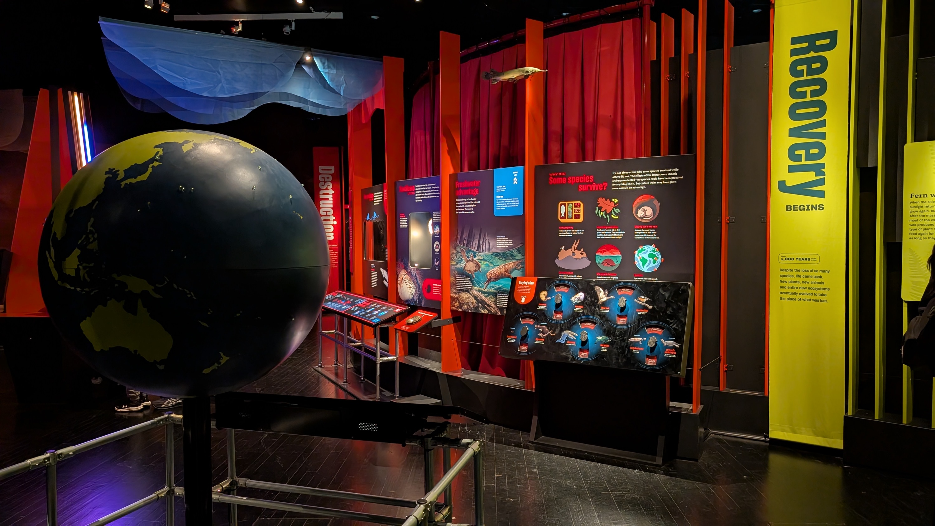 amnh exhibit