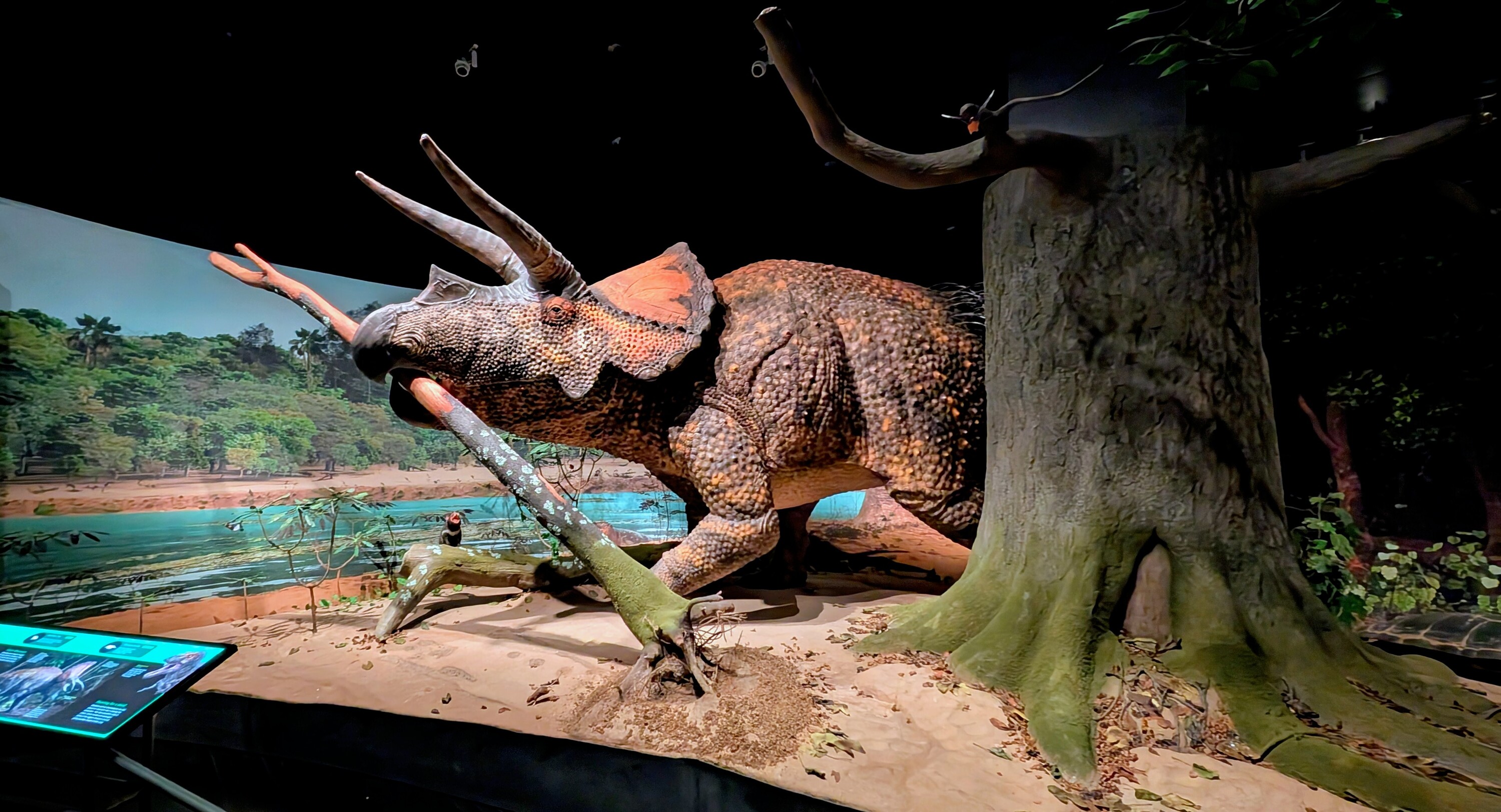 amnh exhibition