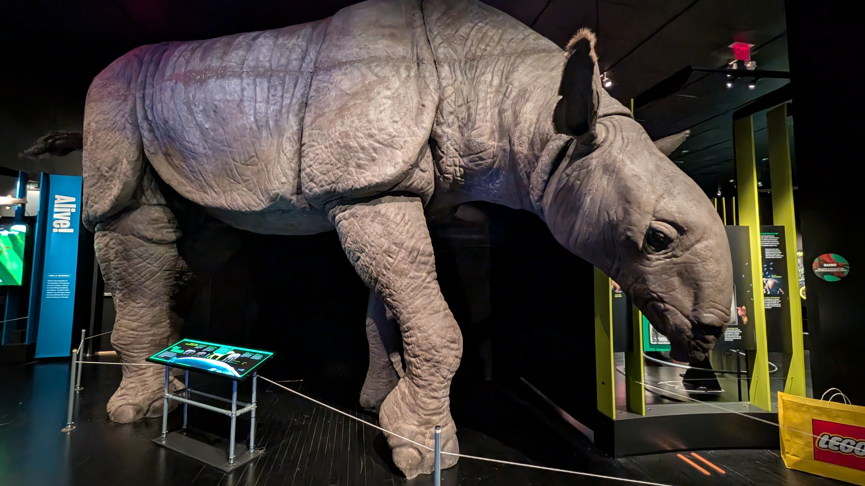 amnh exhibition