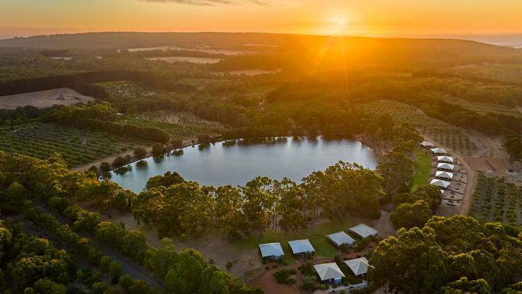 Where to support local