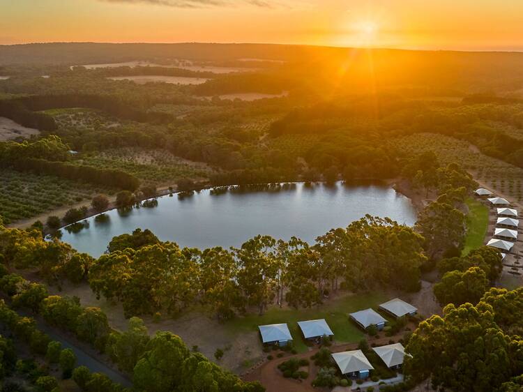 Where to support local