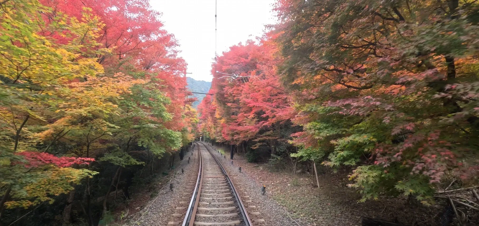 The Momoji Tunnel as of November 13 2025