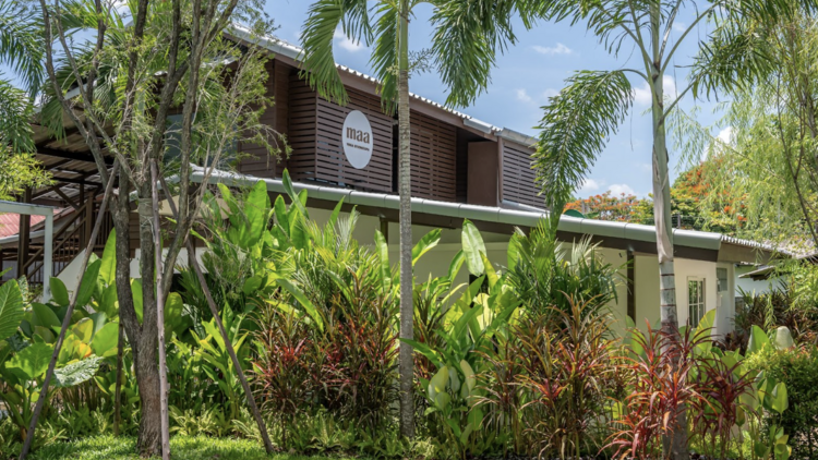 Chiang Mai’s 5 best yoga studios