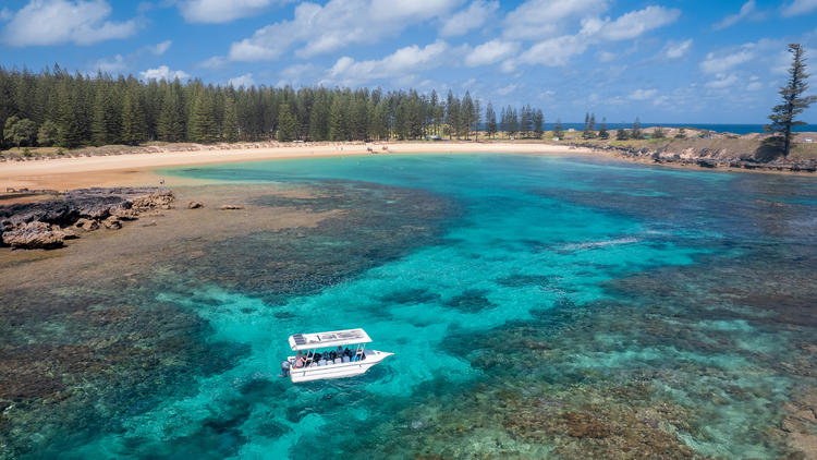 Go on a glass-bottom boat ride