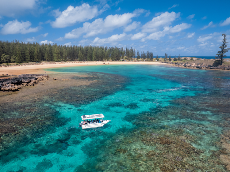 Go on a glass-bottom boat ride
