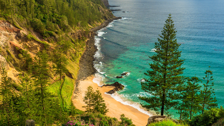 Aerial view of beach