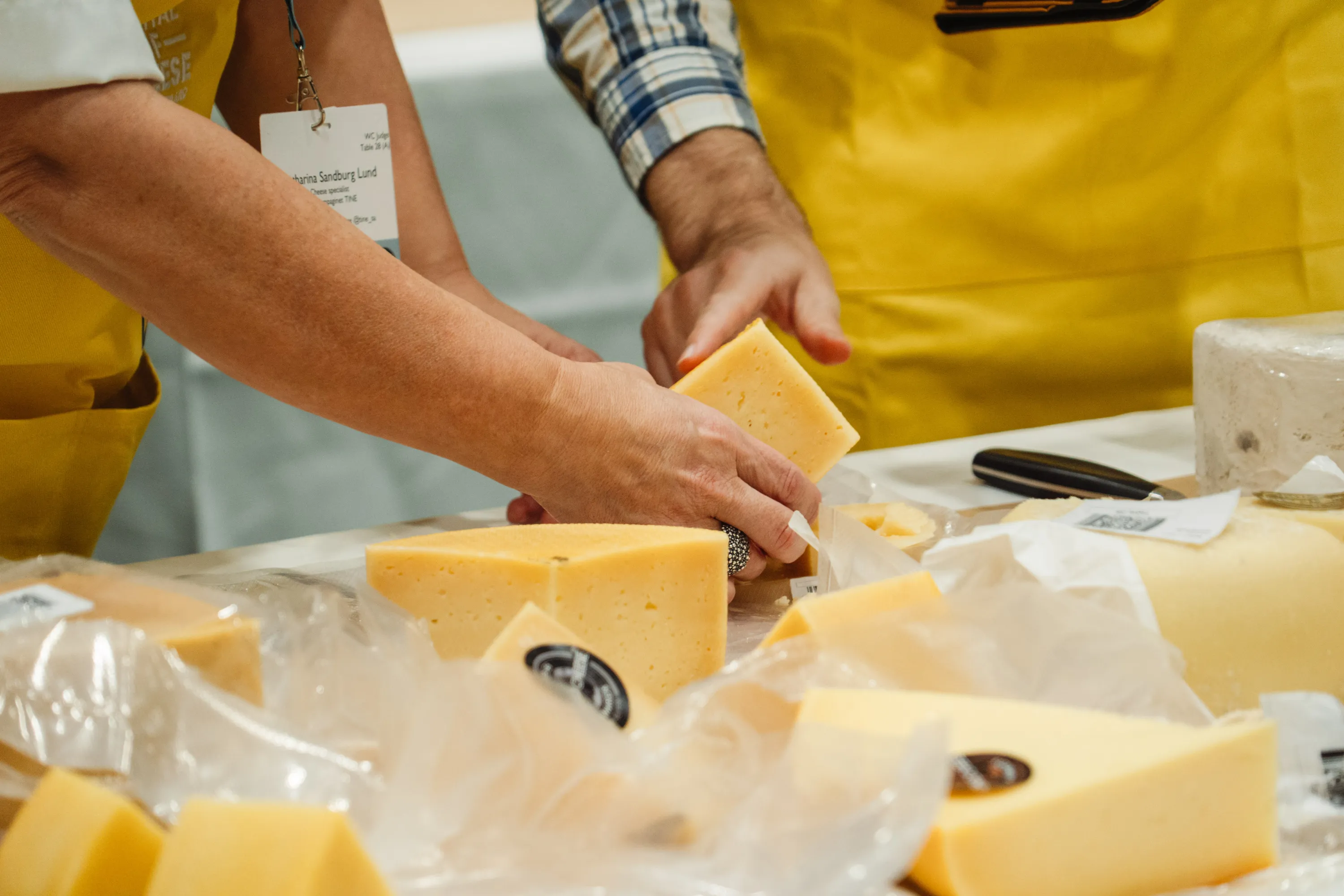 Judging at the World Cheese Awards 2025 in Bern, Switzerland 