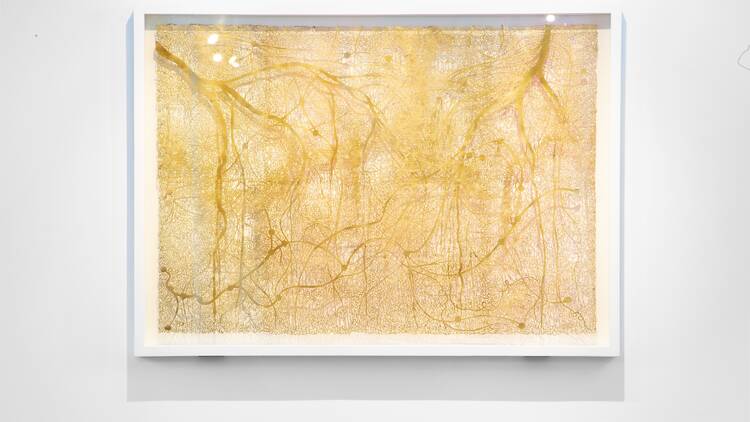 el-oro-de-los-sueños