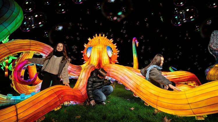 Visitar un zoo resplandeciente