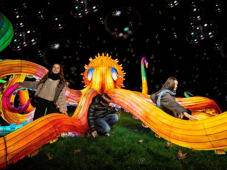 Más de 100 animales luminosos llenarán este parque de Madrid para celebrar la Navidad con un espectáculo nocturno