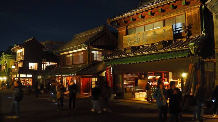 夜間特別開園　紅葉とたてもののライトアップ