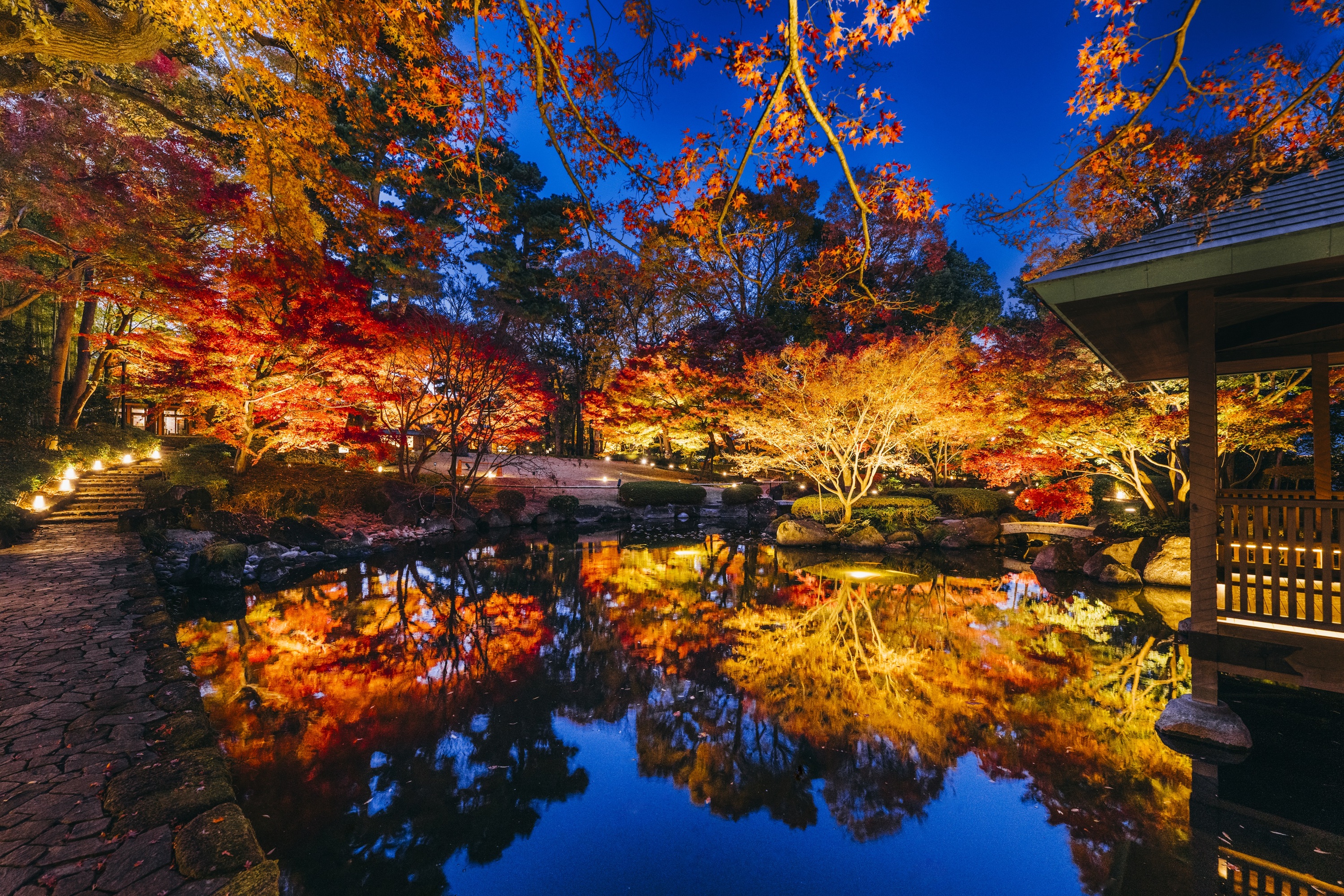 大田黒公園 紅葉ライトアップ