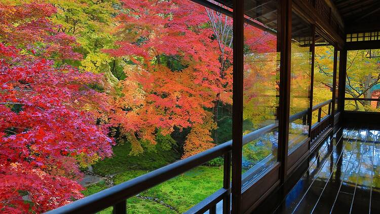 Ruriko-in's Zen garden in autumn