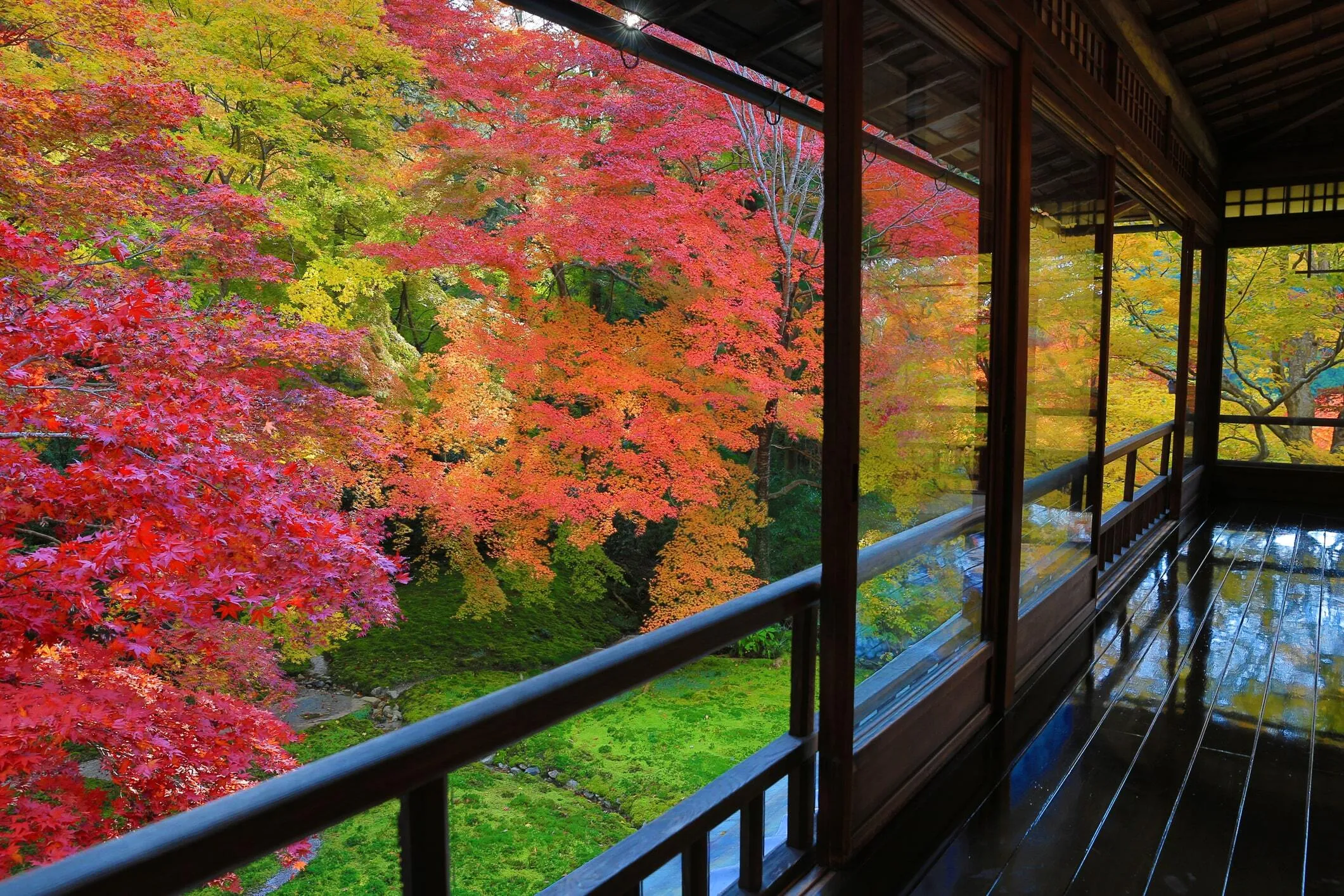 Ruriko-in's Zen garden in autumn