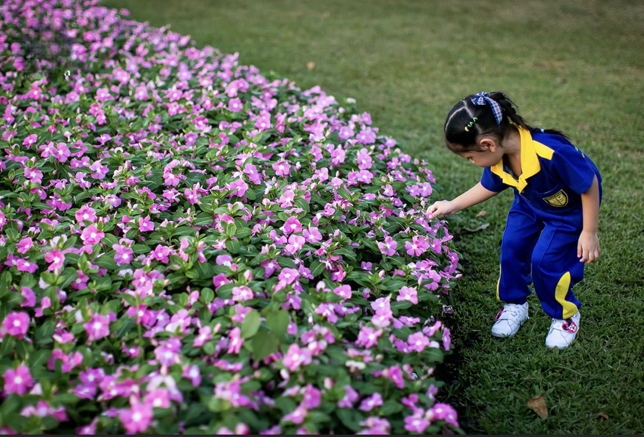 Suan Luang Rama IX's beloved botanical event 