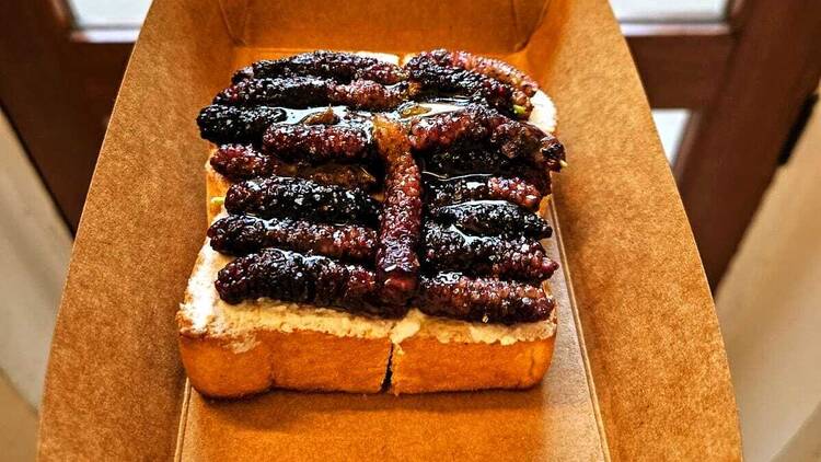 Shack Coffee Shack Coffee