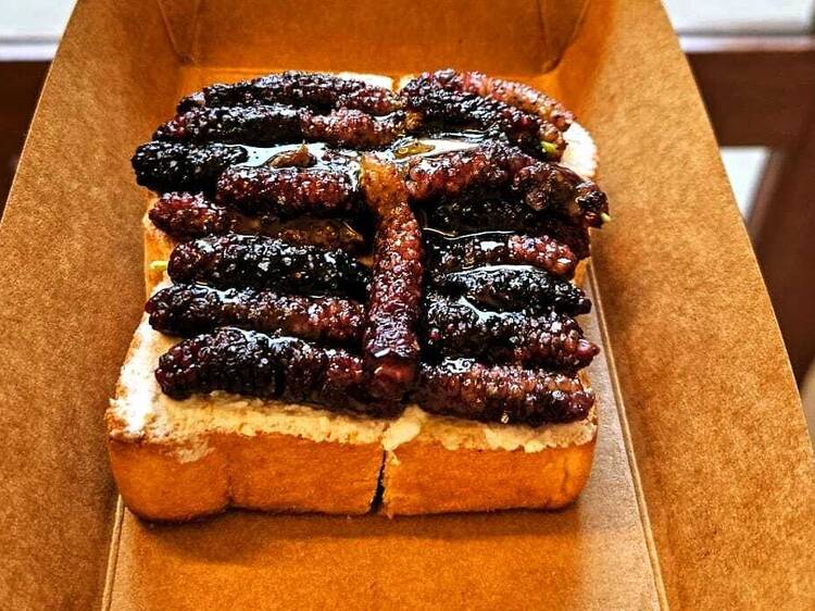 Shack Coffee Shack Coffee