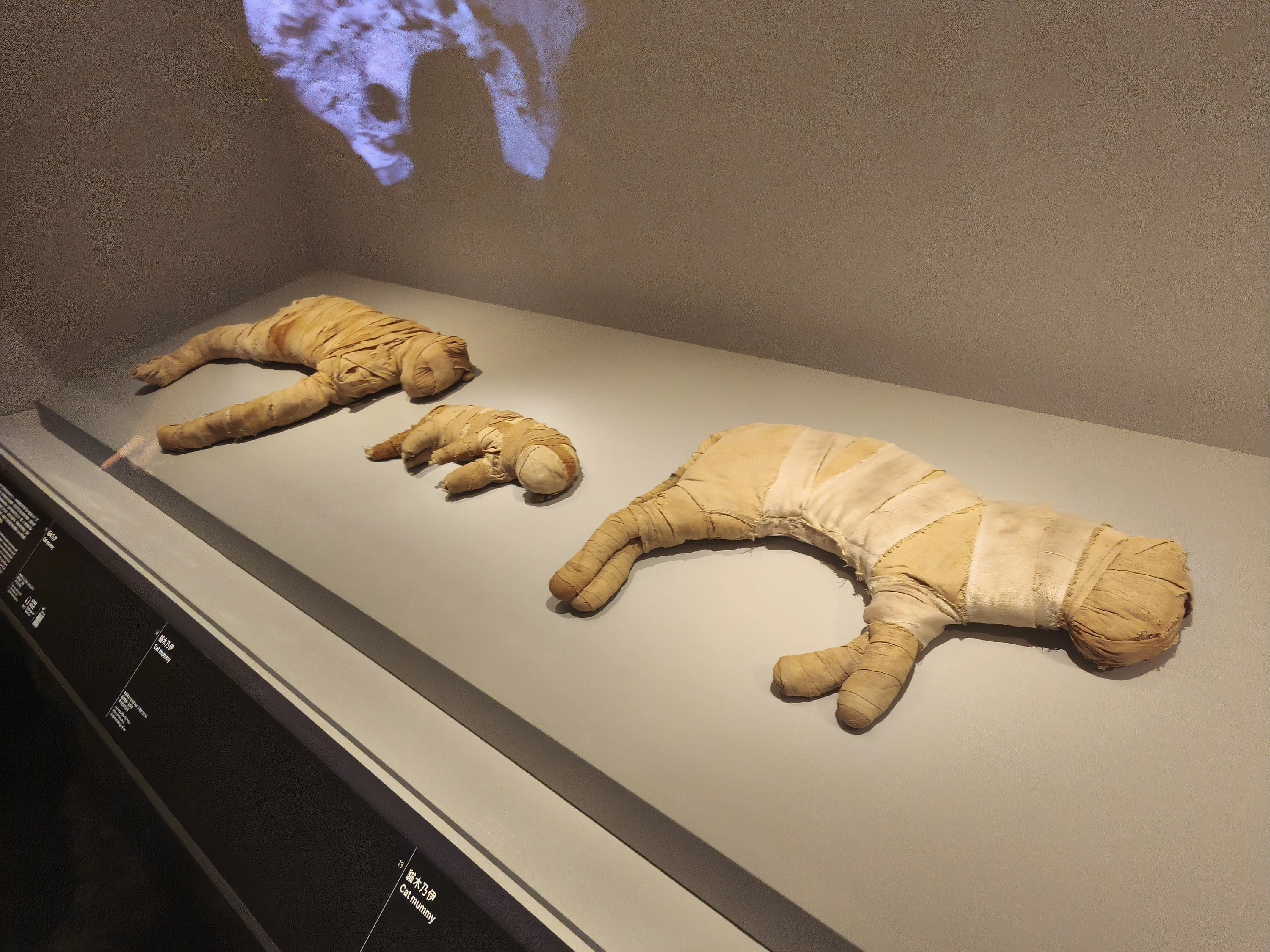 &ldquo;Ancient Egypt Unveiled: Treasures from Egyptian Museums&rdquo; Special Exhibition