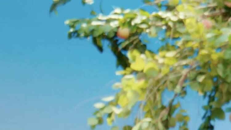 Oques Grasses + Love of Lesbian + Mushka + The Tyets...