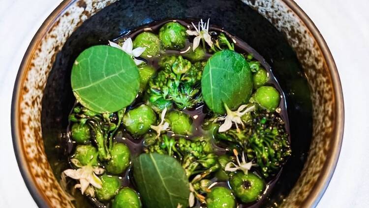 Ravintola Kajon vihreä fine dining -annos Tampereella: herneitä, broccolinia ja syötäviä kukkia keramiikkakulhossa.