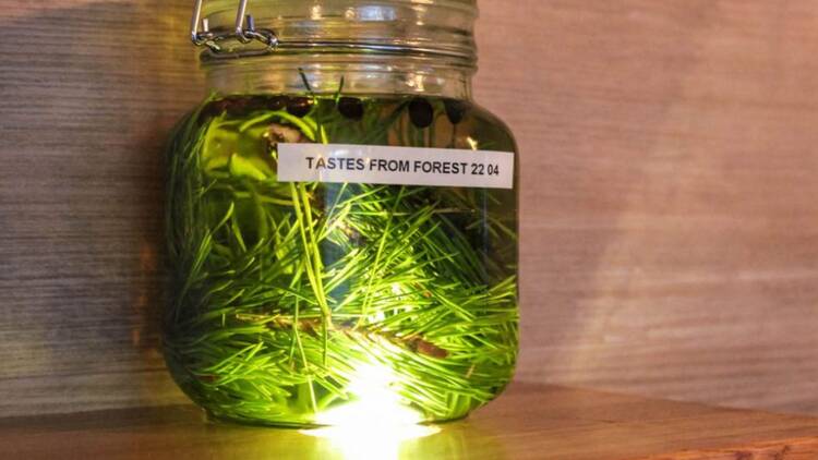 "Ravintola Kajon makuinfuusio Tampereella: lasipurkki täynnä havunneulasia ja mausteita, etiketti 'Tastes from Forest'.